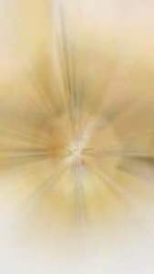 จี้พระพุทธชินราช(องค์ทอง)ประดับเพชรสวิสเลี่ยมกรอบหุ้มทองคำแท้หนาพิเศษ