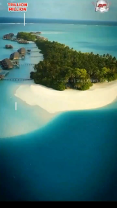 Brassic Eye (Free Gift Lucu) Suplemen Kesehatan Mata Original 100% Asli