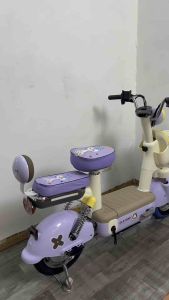 Xe Đạp Điện D2 Pro Mẫu Mới ( Mở Khoá Thẻ Từ)