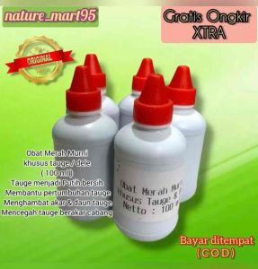Obat Merah Murni ( 100 ml ) untuk tauge Putih bersih