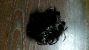 ยางรัดผม ผมปลอม M6 สีน้ำตาล