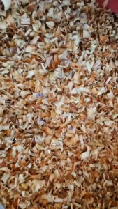 ตะไคร้ ตะไคร้อบแห้ง  ตะไคร้แห้ง Dried Lemongrass ขนาด  1000 กรัม