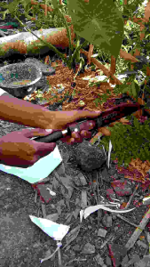 pisau dapur seset mini ukuran 15