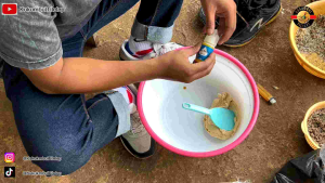 Essen Juara Duren Seribu Bunga & Essen Ikan Mas Paling Bagus