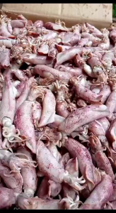 cumi asin jumbo 1kg. ikan asin cumi rebus jarum fresh