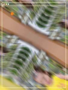 Baby Boy & Girl Clothes Sets Suits Summer Sleeveless T-shirt Kids Shorts Baju baby 5kg - 18kg (Random Picks)