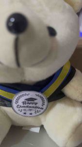 Boneka Wisuda Murah: Boneka Teddy Bear Wisuda 15cm