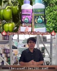 VAMAX ปุ๋ยธาตุอาหารรองเสริมพืช สูตรรวม เร่งการเจริญเติบโตของพืชทุกชนิด (ขนาด 2 ลิตร)