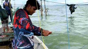 Essen raja ikan paling ampuh