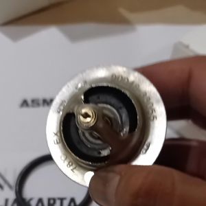 THERMOSTAT TARUNA | ESPAS | FEROZA | CLYEO ORIGINAL 1PC