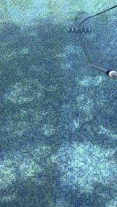 น้ำยาปรับสภาพน้ำใส 20 KG กิโลกรัม POOL - ร้านช่วยค่าส่ง ตกตะกอน แก้น้ำขุ่น กำจัดตะไคร่ 1 วัน