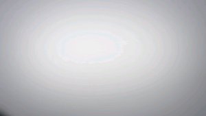 Butterfly SK Carbon T5000 High Quality Light Blade Table Tennis 蝴蝶高级底板乒乓球 Ping Pong Bat Racket Papan kayu donic