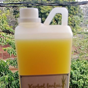 Karbol Pembersih Lantai Anti Bakteri & Harum