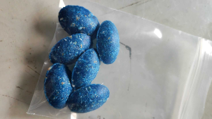 กำจัดหนู-เบื่อหนู-ไล่หนู(จำนวน 6 เม็ด)ทางร้านจัดส่งทุกวัน