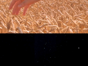 Hotto Purto Multigrain dengan Kentang Ungu 2 Pouch - 32 Sachet