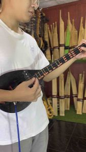 พิณโปร่งไฟฟ้า ขนาดกลาง 3สาย