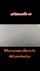 หน้าไฟคาดหัว แอปเปิ้ล 6G