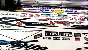 Striping KLX BF EXTREME 2021