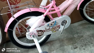Labubu 16inch basikal bakul kanak perempuan dengan siap pasang