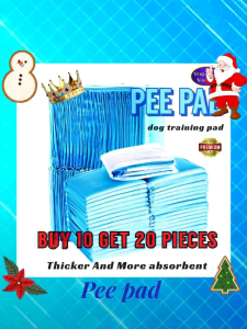 Pee pads Dog training pad absorbent and quality