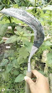 arit rumput baja isenroda giladijamin tajam sampai kecilkualitas nmr 1 utk arit baja isen
