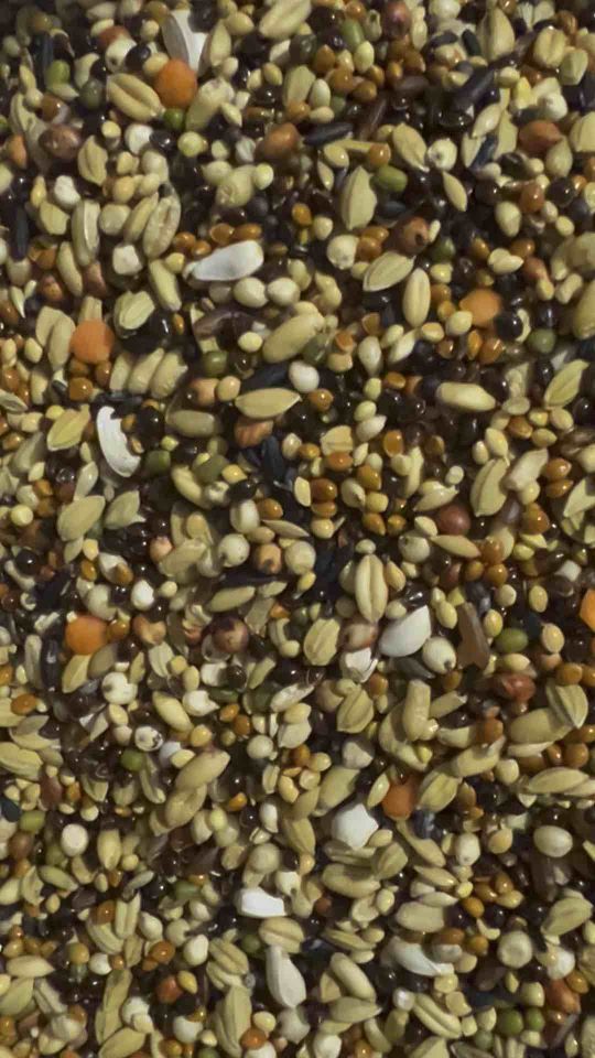 Ngũ cốc chim cu gáy 2KG 63K tặng Muỗng Xúc-Khoáng