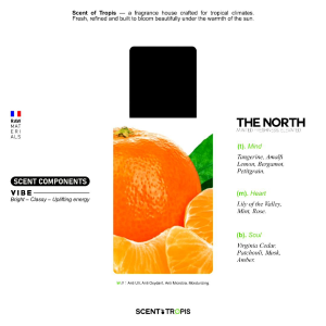 Scent Of Tropis - THE NORTH | Eau de Parfum 35 ml | Parfum Fresh Pria Tahan Lama