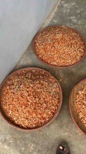 EBI UDANG KERING ASLI 100gr / EBI CANGKANG