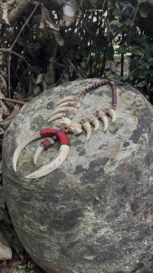 Kalung Taring Dayak Borneo Replika