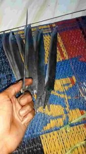 Bilah Lading Satu Jengkal: Bilah Lading Berkualitas Tinggi