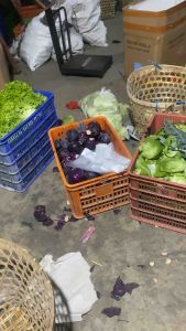 Lobak Putih Segar Fresh Market 1 Kg