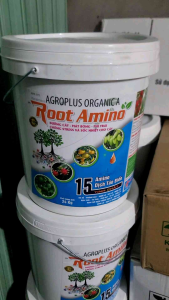 Root Amino Xô 24kg + 15 tinh chất Amino dịch tảo biển - Dưỡng cây mát bông  phì trái chống stress và sốc nhiệt cho cây