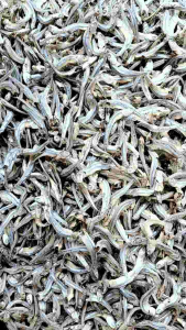 Ikan asin Teri Jengki Bulat Rebus ( ada kepala ) Super