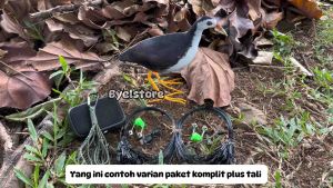 Paket Jerat Racik Ruak Ruak Kareo Sawah + Speaker Box
