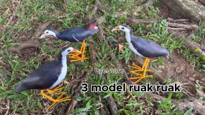 Jontrot Ruak Ruak Sawah: Alat Pertanian Ramah Lingkungan