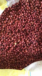 1kg lạc đỏ - nhân lạc đỏ thơm ngon