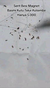 SISIR KUTU / SERIT KUTU / Sisir Gagang Panjang