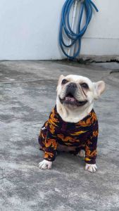 ชุดกันขนร่วง ลายตรุษจีนมังกรทอง 🐲🐲