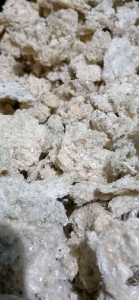 Sarang Walet Sebagai Vitamin Hewan 1 Gram