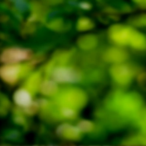 Sữa Hạt Dinh Dưỡng Osuha Nutriton Lon 400g