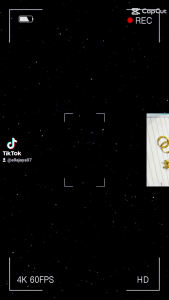 KALUNG PADI KOIN91 LAPIS EMAS 24K.