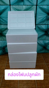 6ใบ/กล่องโฟมปลูกผัก ลังโฟม ความจุ24 ลิตร กล่องกุ้ง 10 กก.มือหนึ่ง