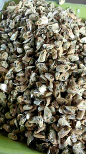 หัวปลาจิ้งจังแห้ง วัตถุดิบอาหารสัตว์ แคลเซียม เหมาะสัตว์เลี้ยง