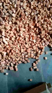 Alas Reptil & Media Tanam Cocochips Cocohusk