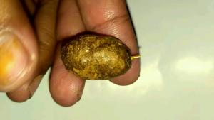 Batu Entung Wesi Kuning: Bahan Alami Untuk Keamanan & Desain Ergonomis