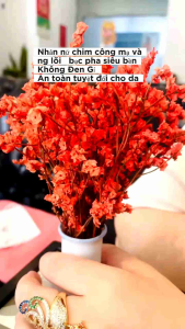 NHẪN NỮ MẠ VÀNG 18K KIỂU Nhẫn Phụng : SANG TRỌNG QUÝ PHÁI VÀ ĐẲNG CẤP. LOKALO 12.3.24