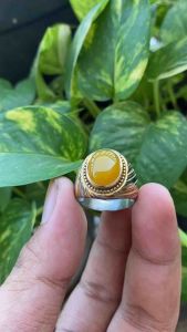 CINCIN BATU ANGGUR CEMPAKA ASLI SUPER MEWAH MINIMALIS