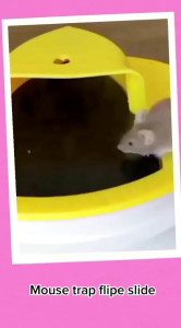 perangkap tikus diameter 30cm