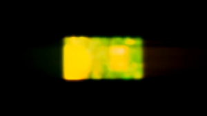 50 BENIH BIJI BIBIT TANAMAN BUAH SEMANGKA KUNING GOLDEN INDEN F1 Siap Tanam