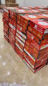 Dây Rửa Xe Chịu Áp Lực Cao MITSUYAMA NHẬT BẢN 8.5mm Loại 10m-15m-20m-30m. Dây Rửa Xe Máy Curoa Loại Xịn